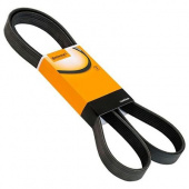 Ремень ручейковый ALL CARS CONTITECH 8х2497